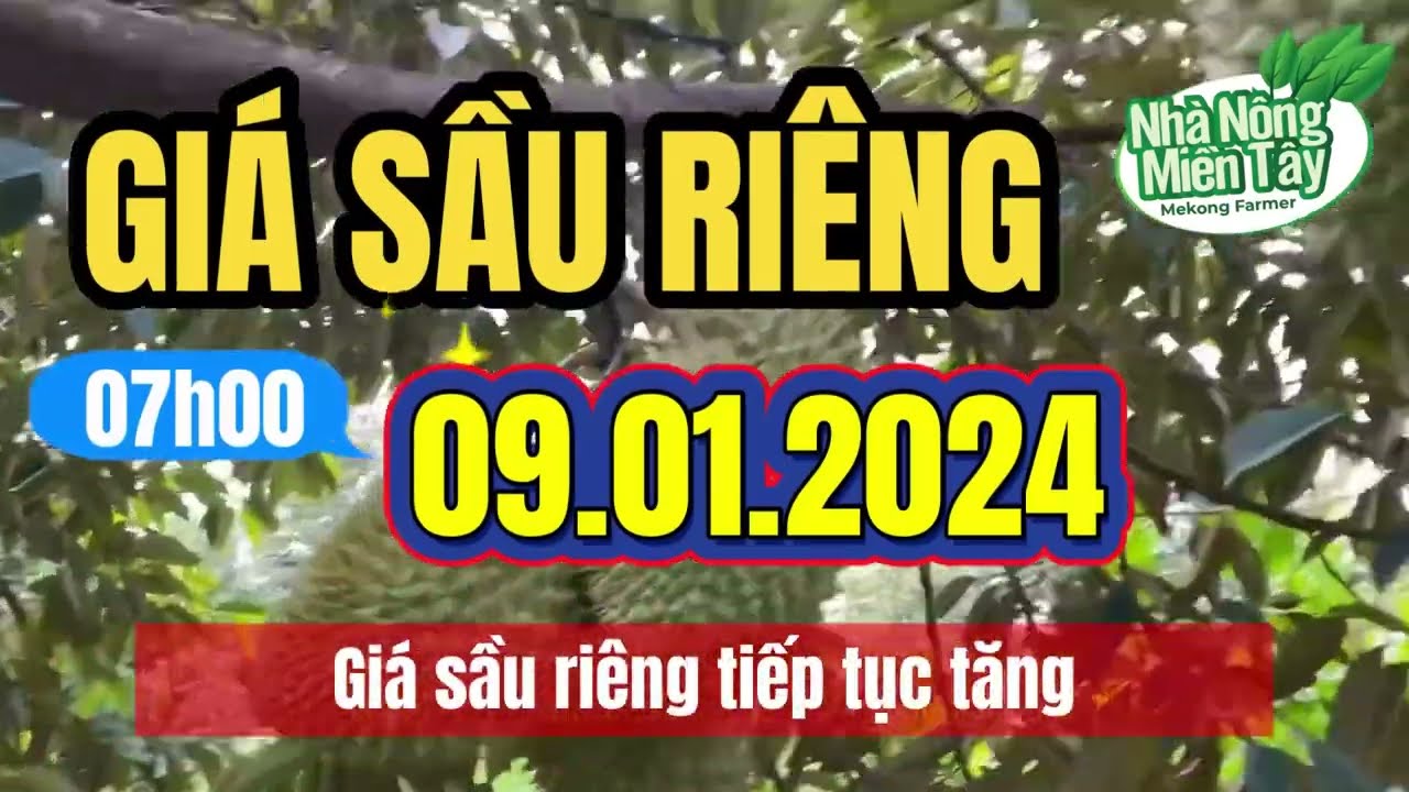 Vietnam durian prices January 9, 2024