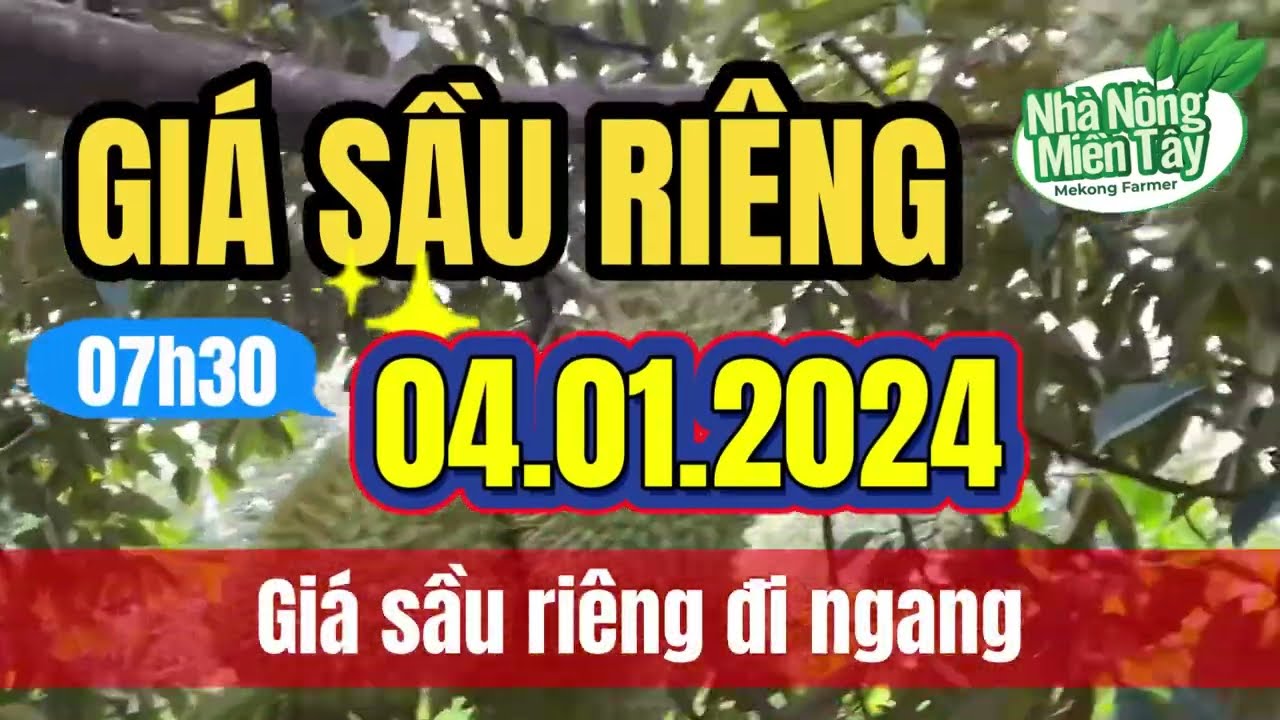 Vietnam durian prices January 4, 2024