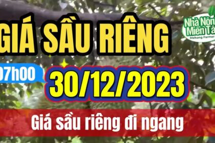 Vietnam durian prices December 30, 2023