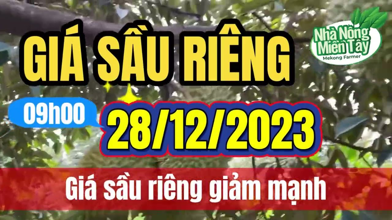 Vietnam durian prices December 28, 2023