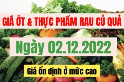 food, vegetables and fruits, market prices and agricultural products price December 2, 2022