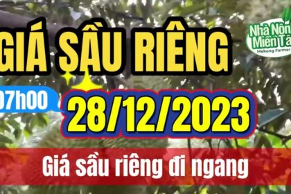 Vietnam durian prices December 28, 2023