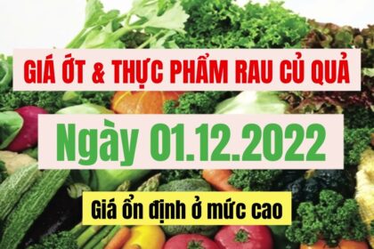 vegetables, fruits and food, market prices and agricultural products price December 1, 2022