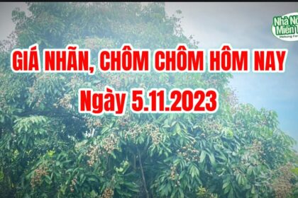 Vietnam fresh fruit prices November 5, 2023