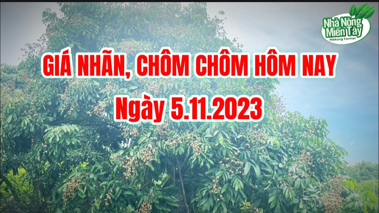 Vietnam fresh fruit prices November 5, 2023