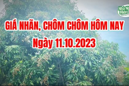 Vietnam fresh fruit prices October 11, 2023