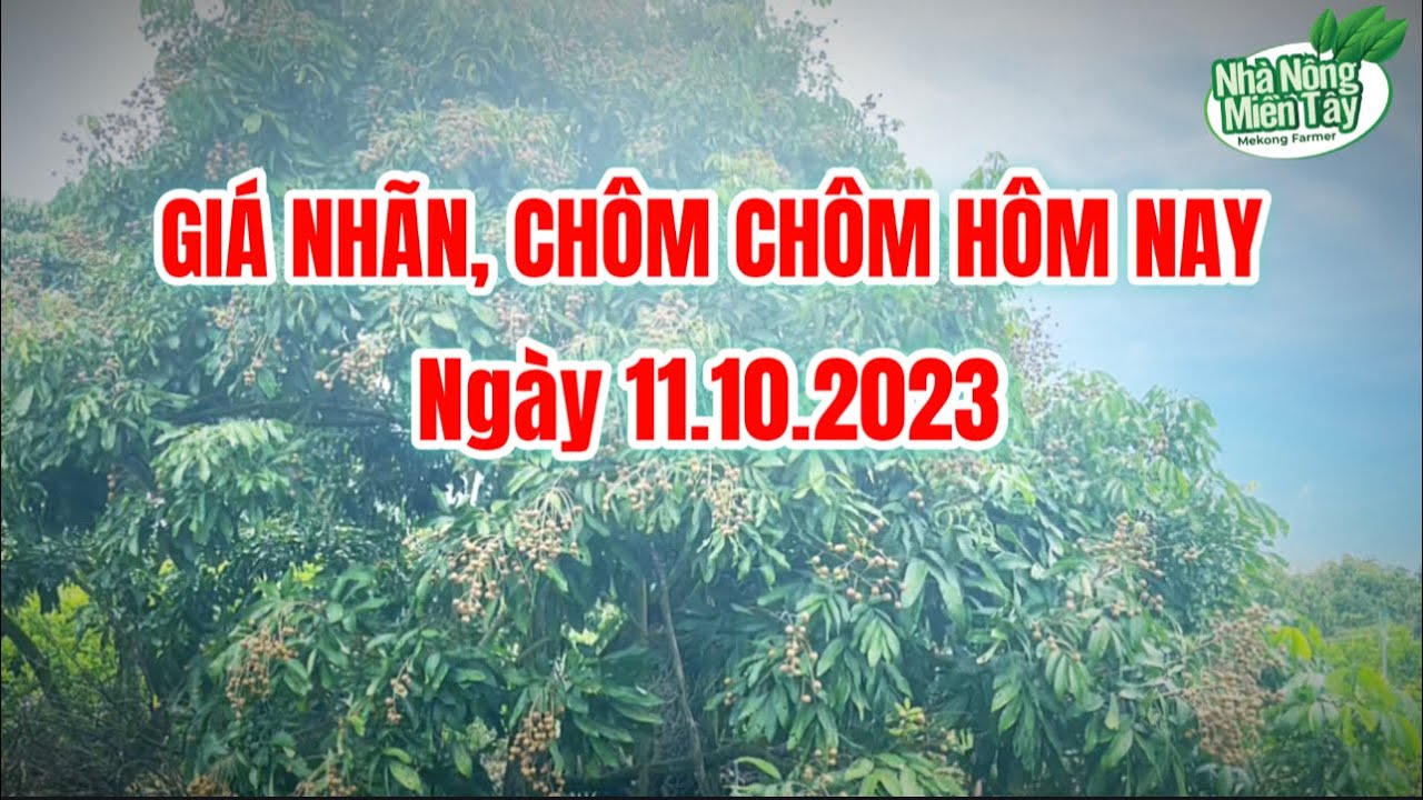 Vietnam fresh fruit prices October 11, 2023