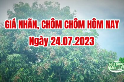 Vietnam fresh fruit prices July 24, 2023