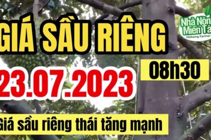 Vietnam durian prices July 23, 2023