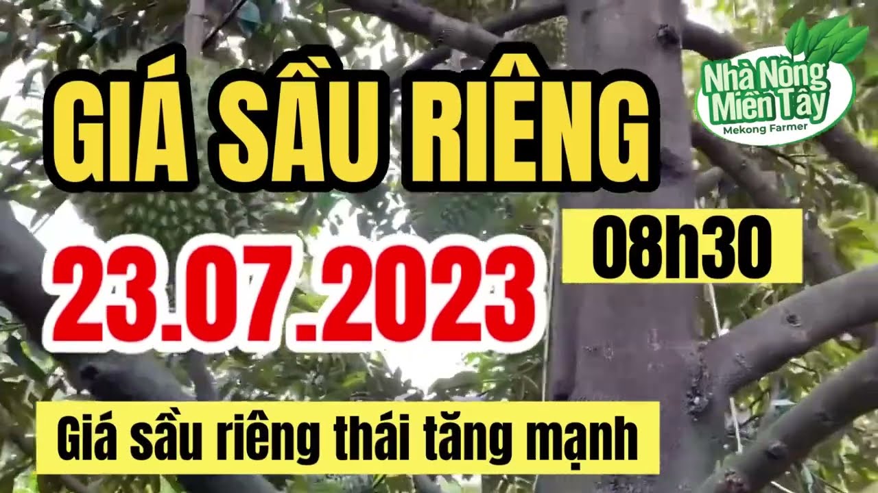 Vietnam durian prices July 23, 2023