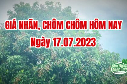 Vietnam fresh fruit prices July 17, 2023
