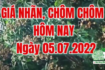 market prices, agricultural products, rambutan and longan price July 26, 2022