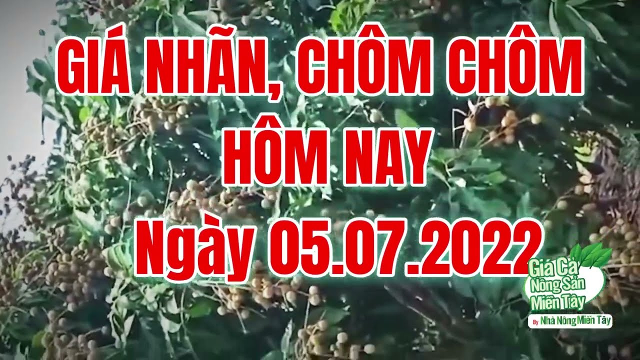 market prices, agricultural products, rambutan and longan price July 26, 2022