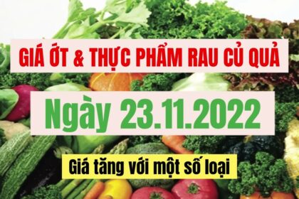 food, vegetables and fruits, market prices and agricultural products price November 23, 2022