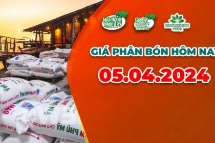 Vietnam fertilizer prices April 5, 2024