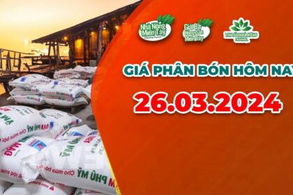 Vietnam fertilizer prices March 26, 2024