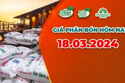 Vietnam fertilizer prices March 18, 2024