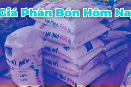 Vietnam fertilizer prices March 16, 2024