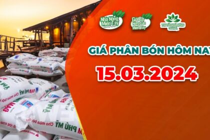 Vietnam fertilizer prices March 15, 2024