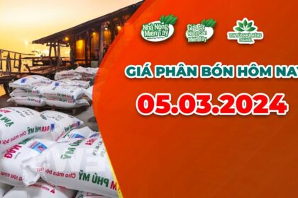 Vietnam fertilizer prices March 5, 2024