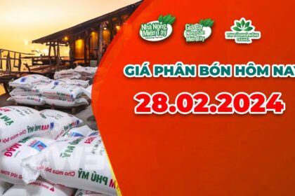 Vietnam fertilizer prices February 28, 2024