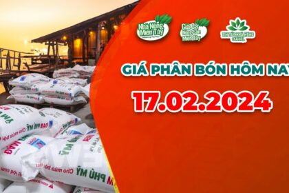 Vietnam fertilizer prices February 17, 2024