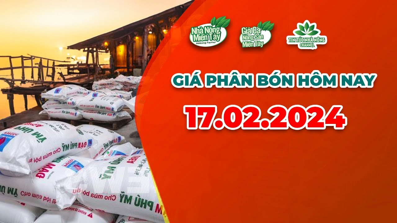 Vietnam fertilizer prices February 17, 2024