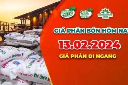 Vietnam fertilizer prices February 13, 2024