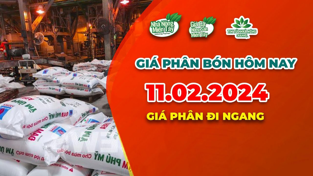 Vietnam fertilizer prices February 11, 2024