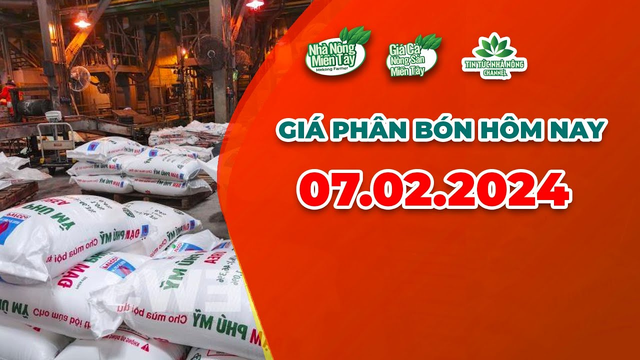Vietnam fertilizer prices February 7, 2024
