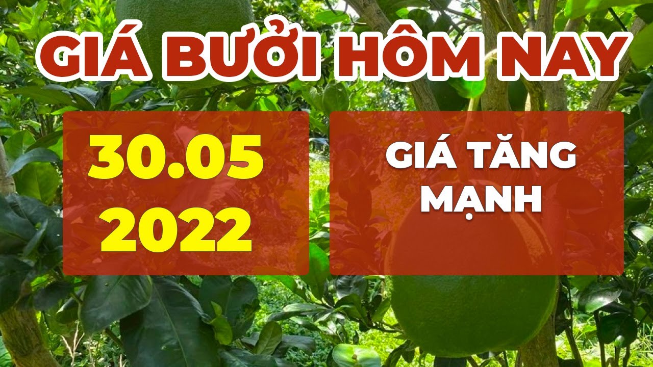 market prices, agricultural products and pomelo price May 30, 2022