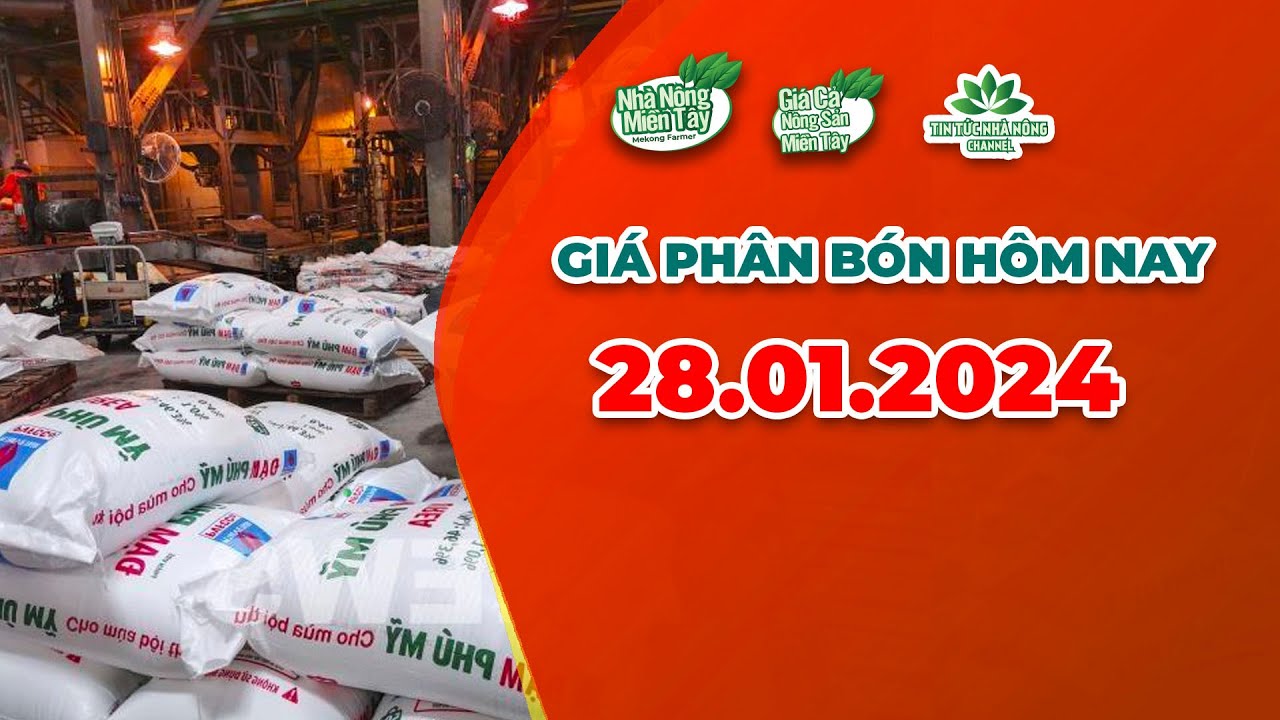 Vietnam fertilizer prices January 28, 2024