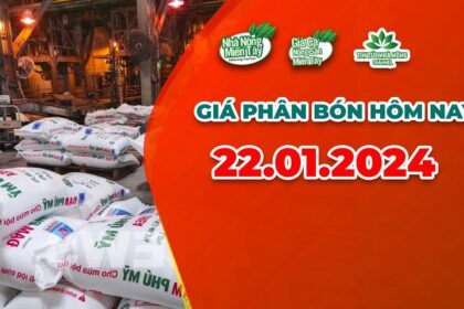 Vietnam fertilizer prices January 22, 2024