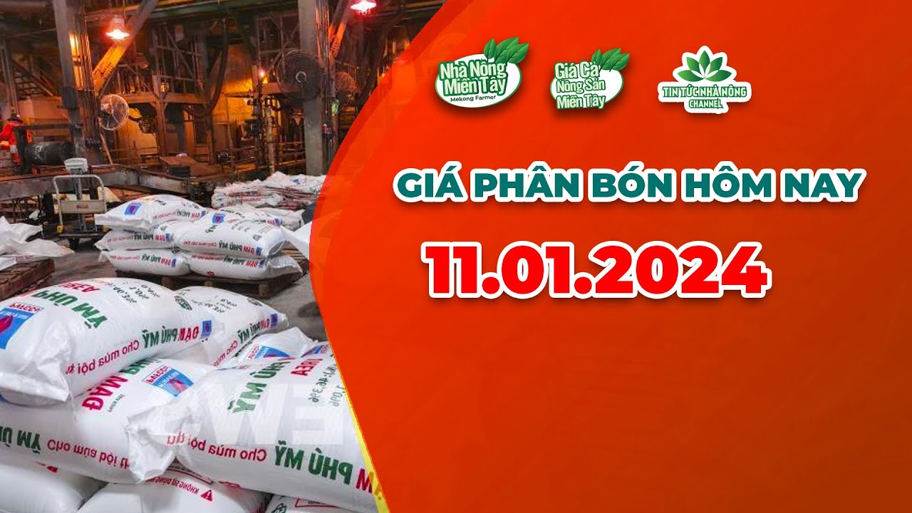 Vietnam fertilizer prices January 11, 2024