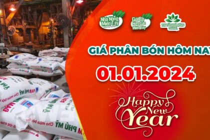Vietnam fertilizer prices January 1, 2024