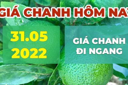 market prices, agricultural products and lime price May 31, 2022