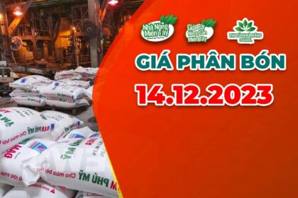 Vietnam fertilizer prices December 14, 2023