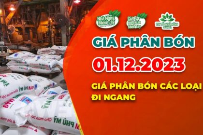 Vietnam fertilizer prices December 1, 2023