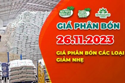 Vietnam fertilizer prices November 26, 2023