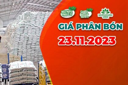 Vietnam fertilizer prices November 23, 2023