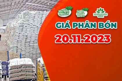 Vietnam fertilizer prices November 20, 2023