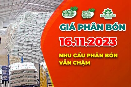 Vietnam fertilizer prices November 16, 2023