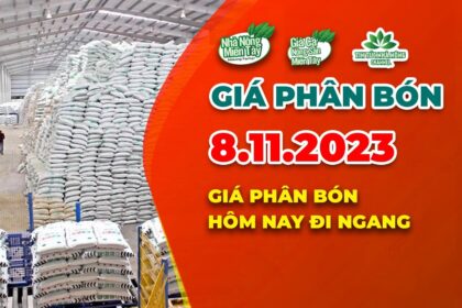 Vietnam fertilizer prices November 8, 2023