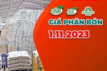 Vietnam fertilizer prices November 1, 2023