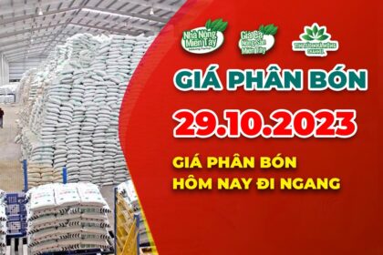 Vietnam fertilizer prices October 29, 2023