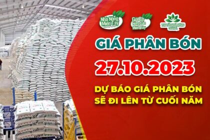 Vietnam fertilizer prices October 27, 2023