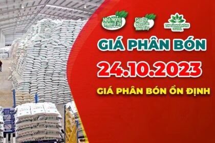Vietnam fertilizer prices October 24, 2023
