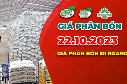 Vietnam fertilizer prices October 22, 2023