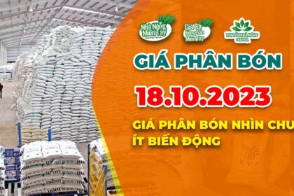 Vietnam fertilizer prices October 18, 2023