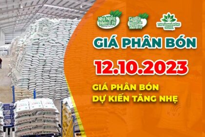 Vietnam fertilizer prices October 12, 2023
